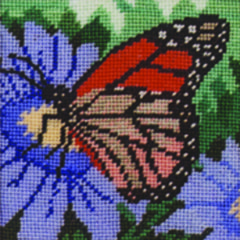 Monarch Butterfly